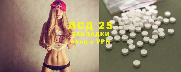 стафф Арсеньев
