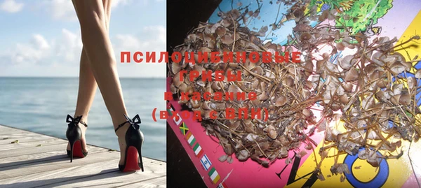 стафф Арсеньев