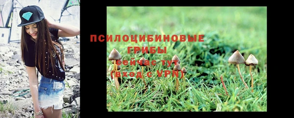 таблы Карпинск