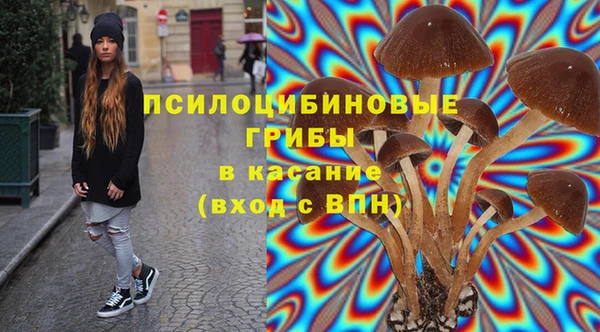 стафф Арсеньев