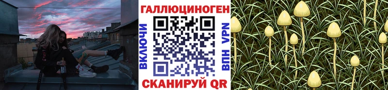Псилоцибиновые грибы ЛСД  цены   Нижний Новгород 
